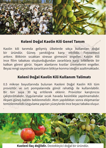 kaolenikili-tanitim