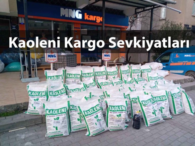 Kaoleni kaolin kili 10 kg torbalar